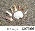 貝がらで遊ぼう！
