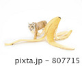 807715