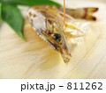 くるまえび