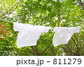 森の木に干す洗濯物　Ｔシャツ