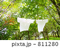 森の木に干す洗濯物　Ｔシャツ