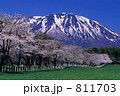 小岩井の桜並木と岩手山