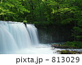 奥入瀬渓流　銚子大滝