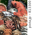 魚介類集合