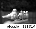 813616