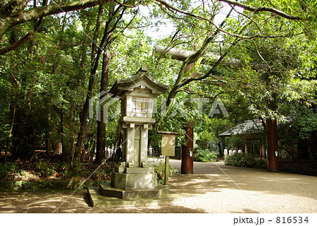 燈篭 林 宮崎