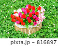 夏の公園の花かごとバラの花束