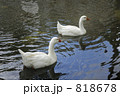 818678