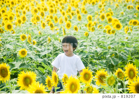 「子供 男の子 人物 花畑 」の写真素材 「子供 男の子 人物 花畑 」の写真素材