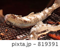 ＢＢＱイメージ「岩魚」
