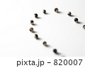 風船葛の種