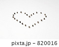風船葛の種