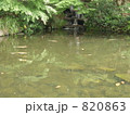 見浜園