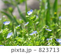 春の日差しの下で 春の日差しの下で