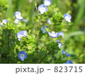 春の日差しの下で 春の日差しの下で