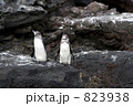 823938