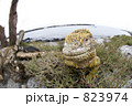 823974