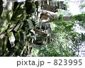 アンコール遺跡　タ・プロム