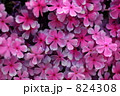 824308