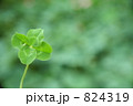 824319