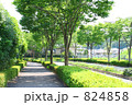 並木道と街路樹
