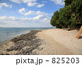 星の砂の海岸