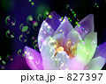 開 華