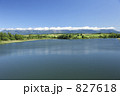 827618