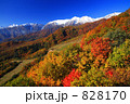 栂池ゴンドラリフトからの紅葉とアルプス