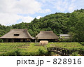 夏の里山