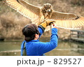 フクロウの飛行ショー