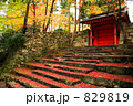 大原三千院朱雀門と散り紅葉