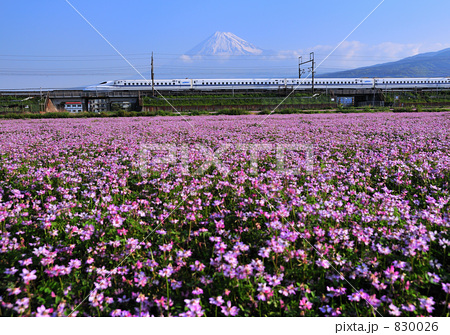 mt223-5128 mt223-5128