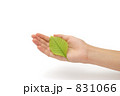 タカレナ0101 タカレナ0101