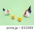 ニワトリの親子