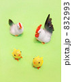 ニワトリの親子