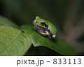 833113