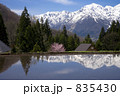 白馬村青鬼地区の山村集落に咲く一本桜です。