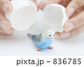 836785