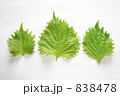しそ