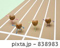 ドングリの運動会
