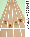 ドングリの運動会