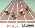 ドングリの運動会