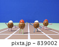 ドングリの運動会