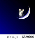 Kitty &amp; Moon