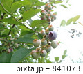 841073