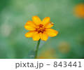 843441