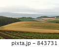 843731