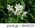 844520