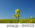 844528